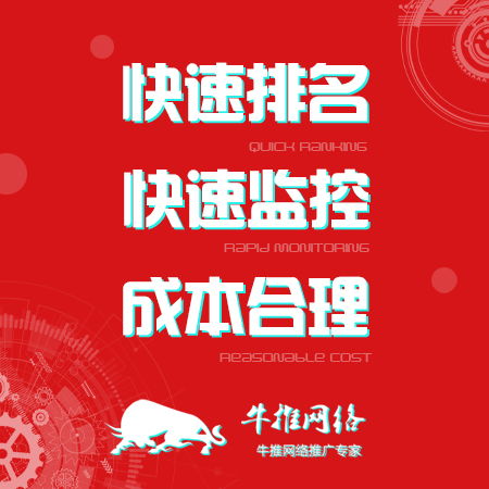 上海奉贤网络建站推广公司 开启企业数字化转型的领航者