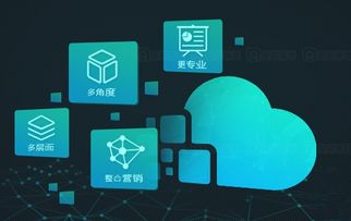 如何选择合适的网络营销与互联网信息服务商